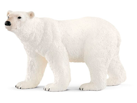 Schleich Wild Life Polar Bear For Discount