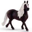 Schleich Farm World Black Forest Stallion Cheap