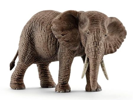 Schleich Wild Life African Elephant Female Hot on Sale