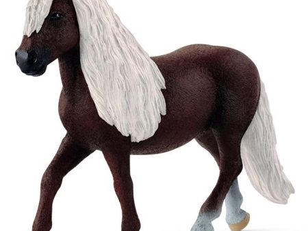 Schleich Farm World Black Forest Mare For Discount