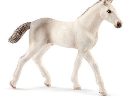 Schleich Horse Club Holsteiner Foal Online now